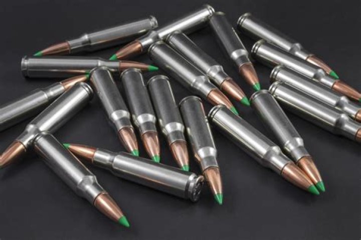 Are Ballistic Tip bullets good for deer?