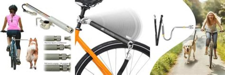 Are bike leashes for dogs safe?