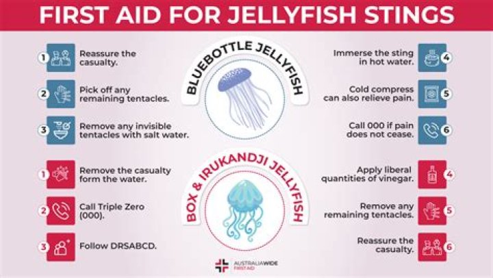 Are blue jellyfish harmful?