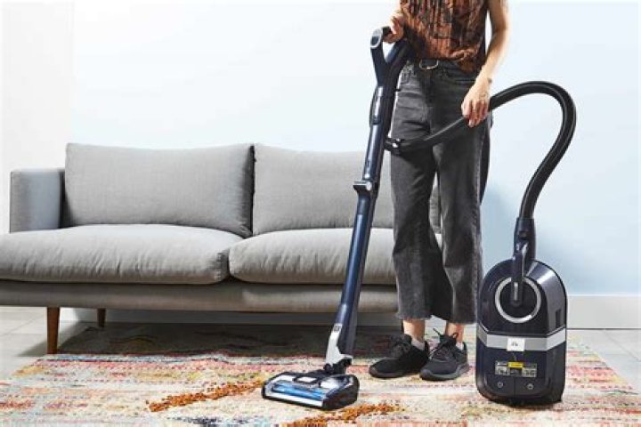Are canister vacuums better for hardwood floors?