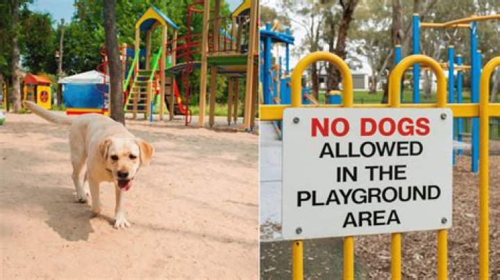 Are dogs allowed in tamar Park?