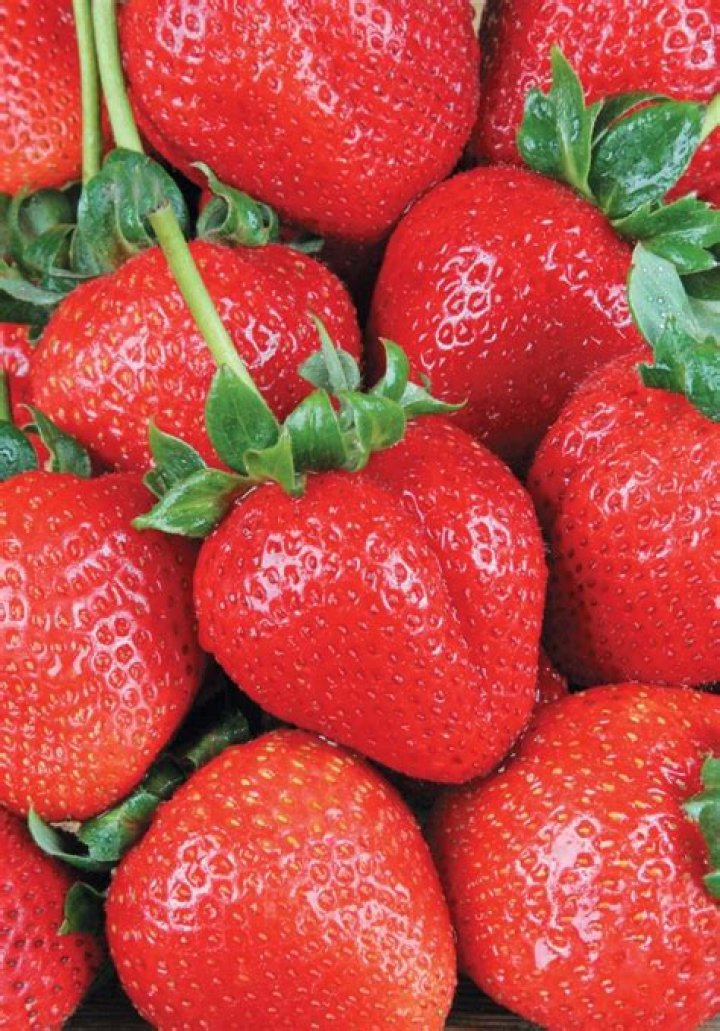 Are long stem strawberries better?