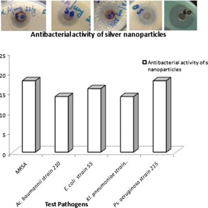Are silver nanoparticles antibacterial?