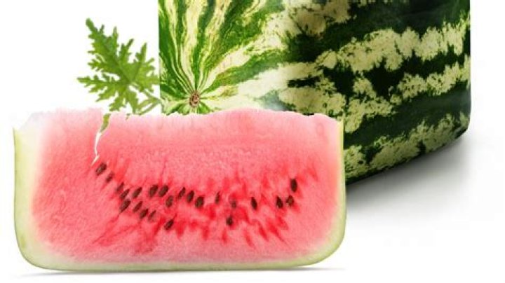 Are square watermelons real?