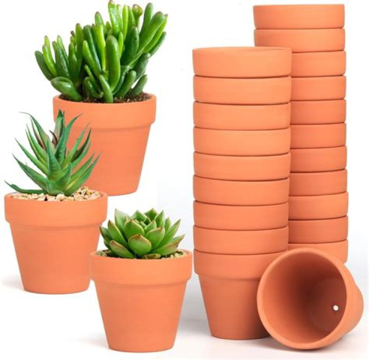 Are terracotta pots good for indoor plants?