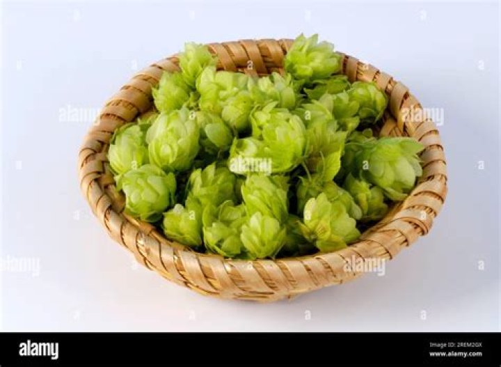 Are Tettnang and Tettnanger hops the same?