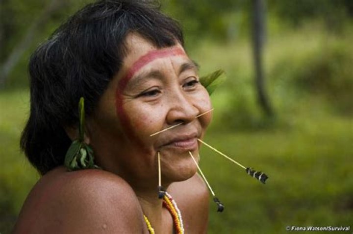 Are the Yanomami tribe uncontacted?