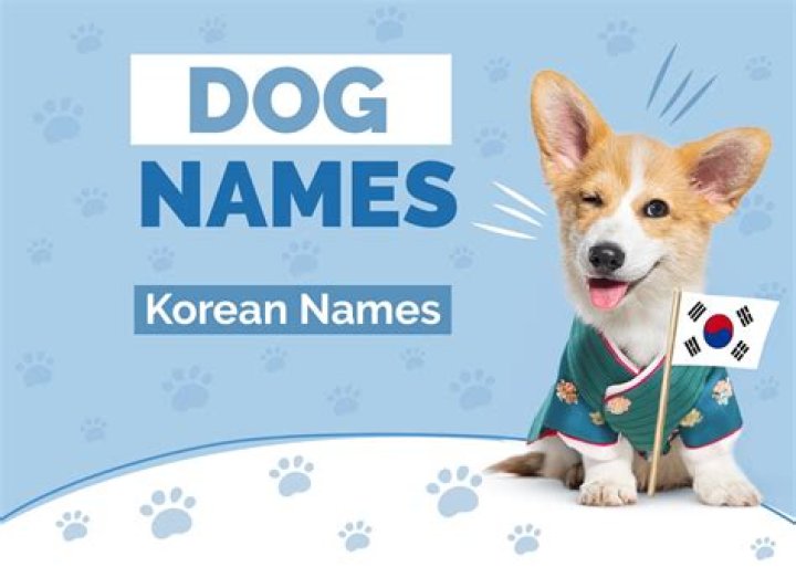 Are there any Korean dog breeds?