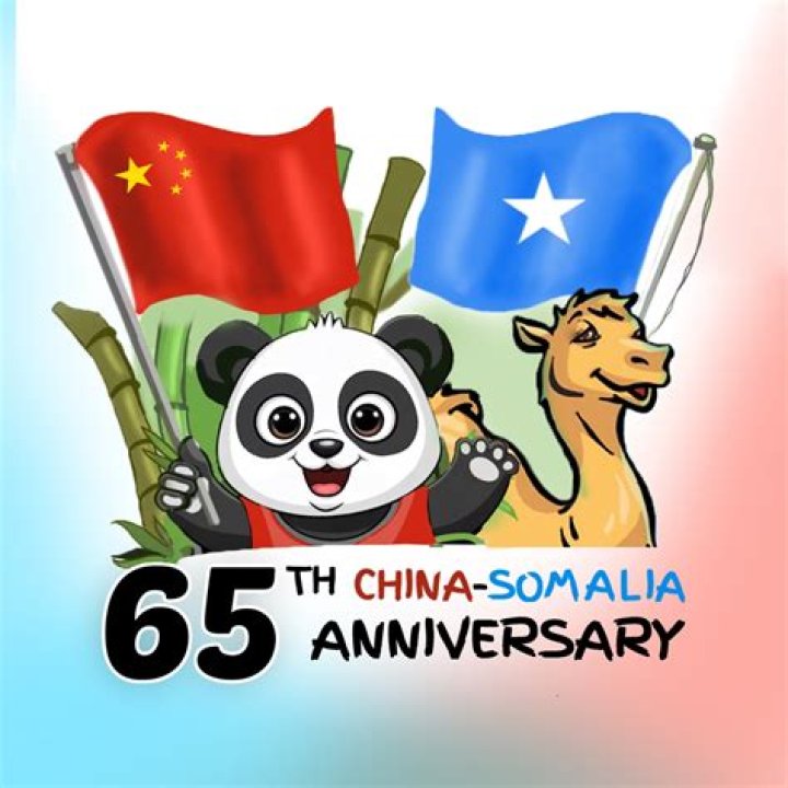 Are there Chinese in Somalia?