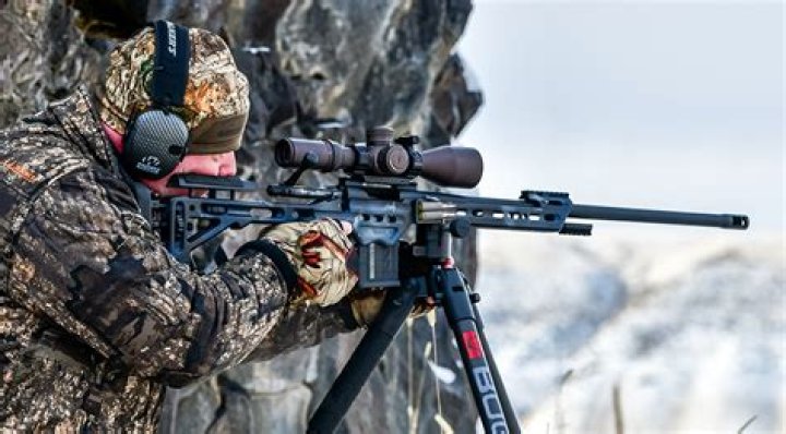 Are Warne Scope Mounts good?