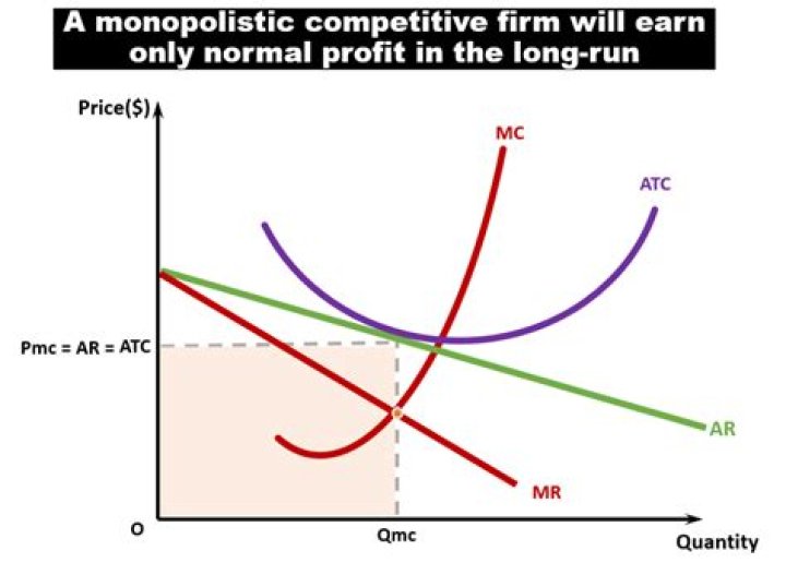 Can a monopoly make profit in the long run?