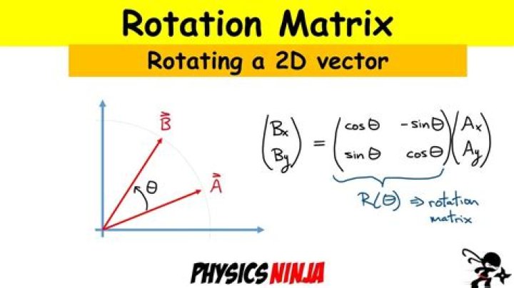 Can a vector change with time?
