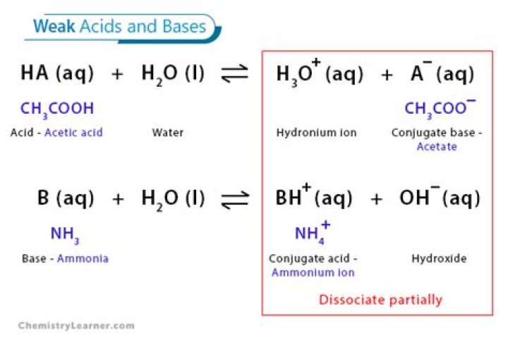 Can a weak acid react with a weak base?