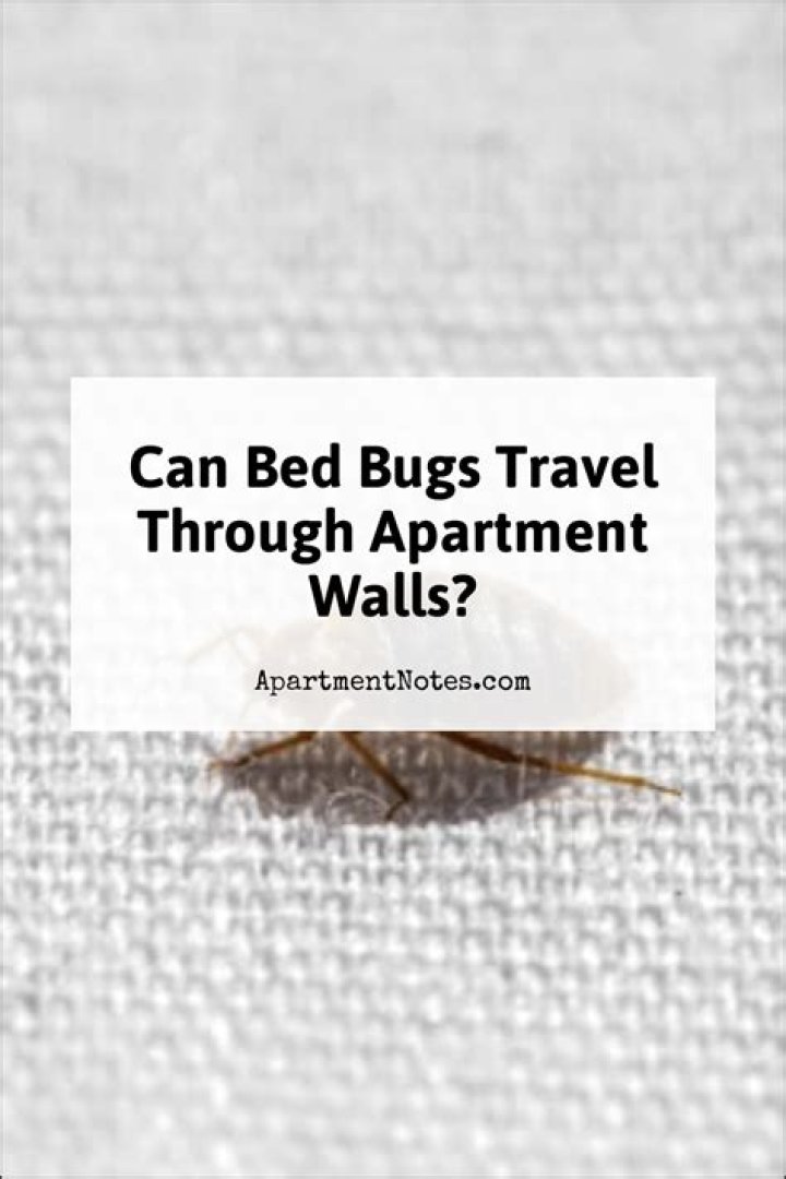 Can bed bugs travel through walls from one apartment to another?