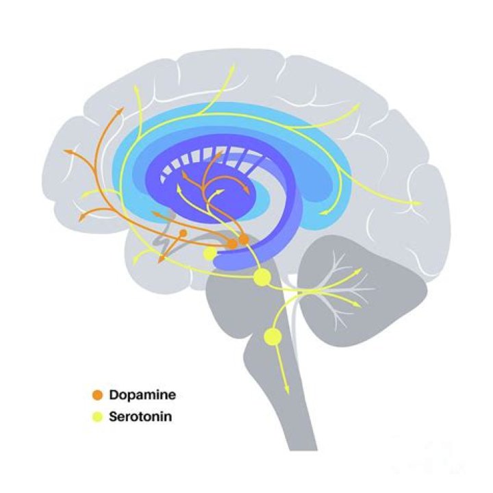 Can dopamine and serotonin levels be tested?