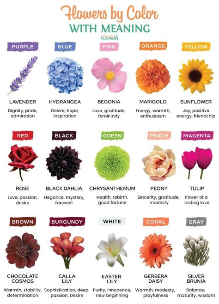 Can flowers be sent to hospitals?