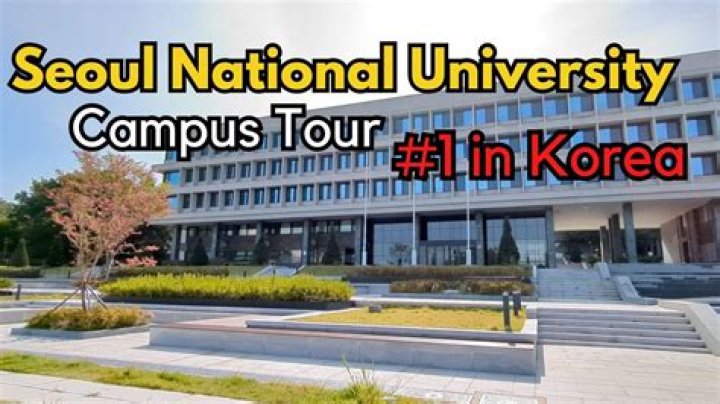 Can foreigners go to university in South Korea?
