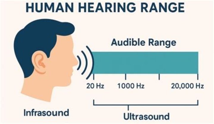 Can humans hear 400 Hz?