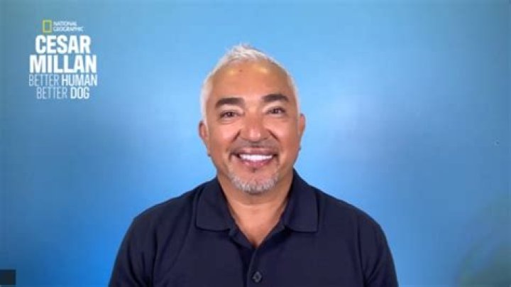 Can I hire Cesar Millan?