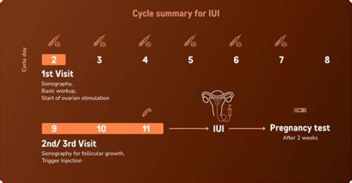 Can I test 11 days post IUI?
