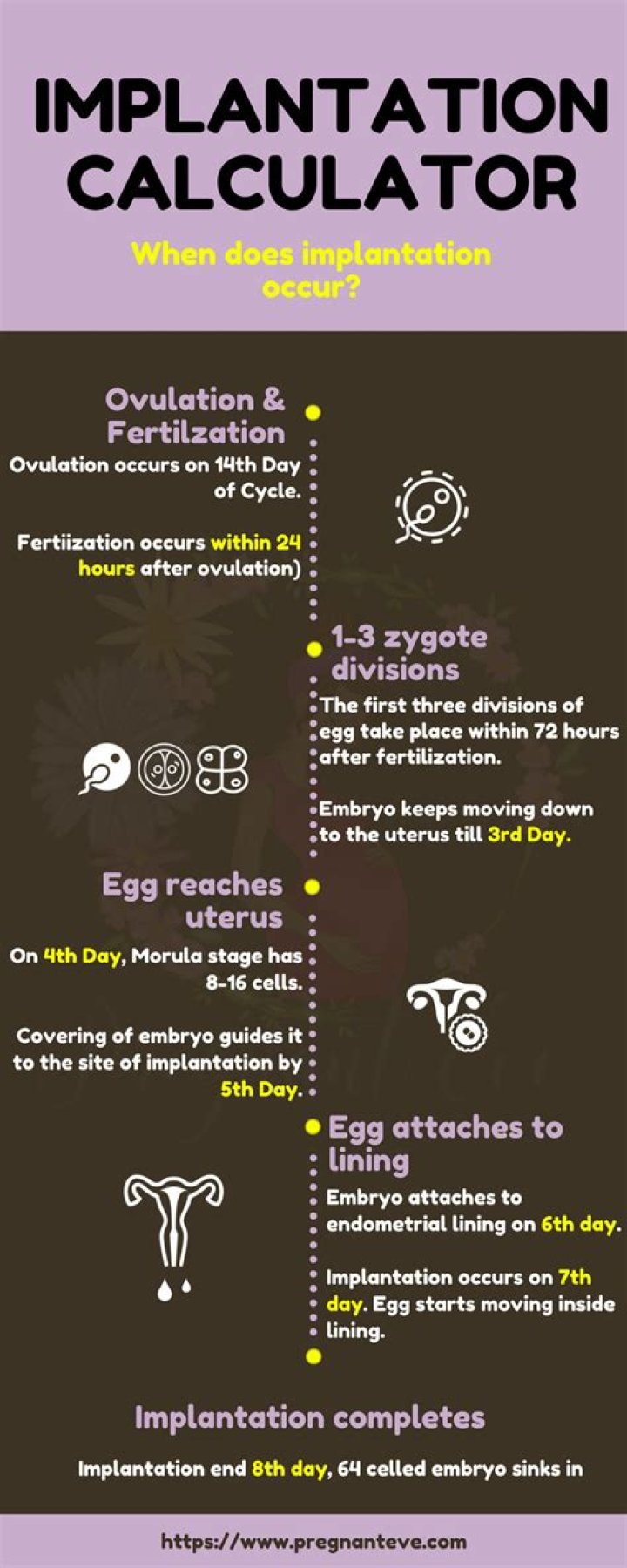 Can implantation happen 12 days after ovulation?