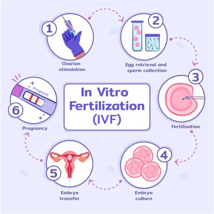 Can IVF embryos be genetically tested?