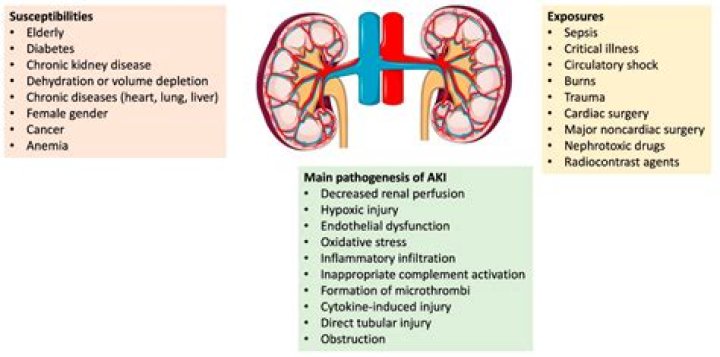 Can kidney failure cause a fever?