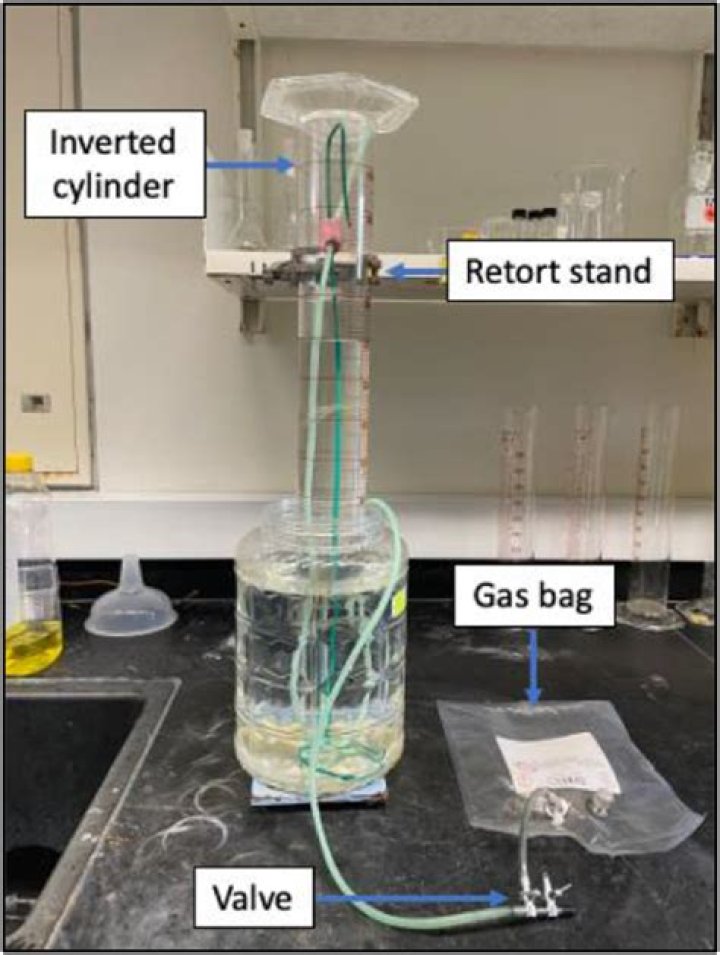 Can oil be used in water displacement method?