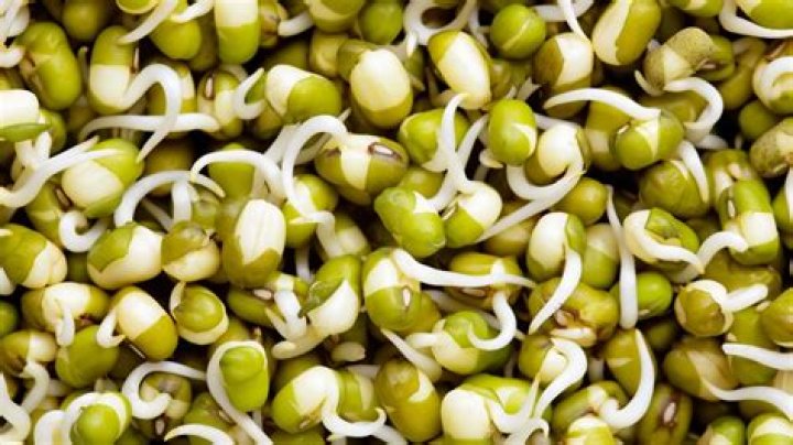 Can one seed produce two sprouts?