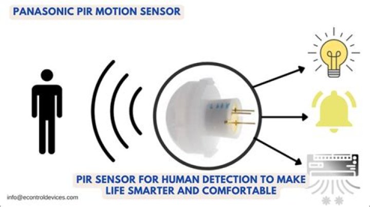Can PIR sensor detect human presence?