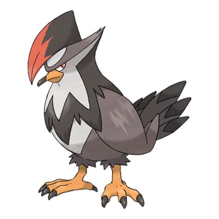 Can Staraptor fly?