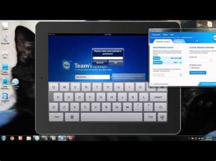 Can TeamViewer work on iPad?