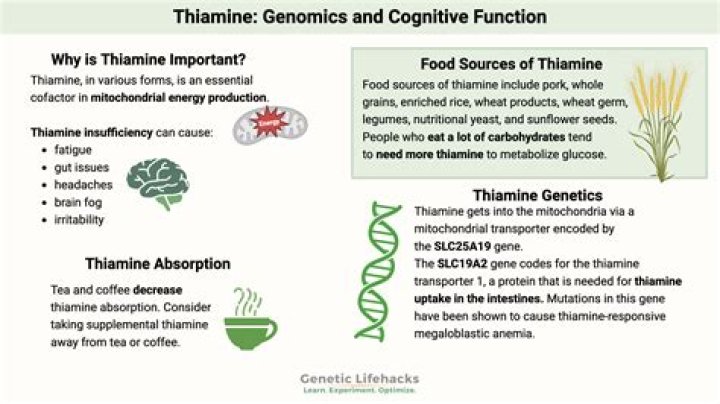 Can too much thiamine be harmful?