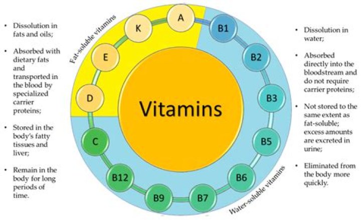 Can vitamin D be synthesized in the body?