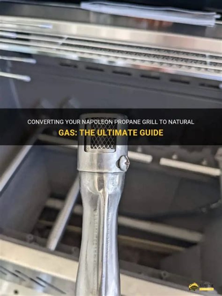 Can you convert a Napoleon BBQ from propane to natural gas?