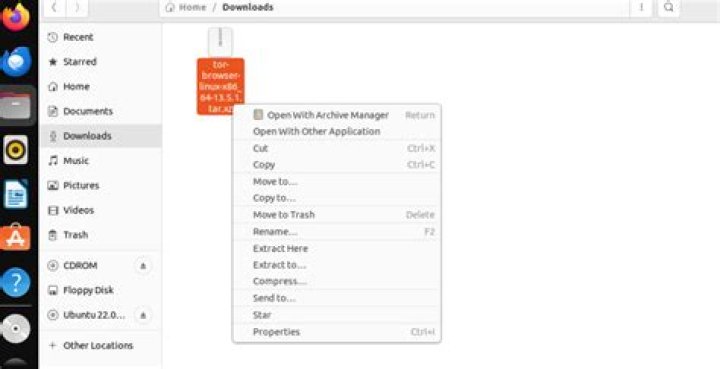 Can you download Tor on Ubuntu?