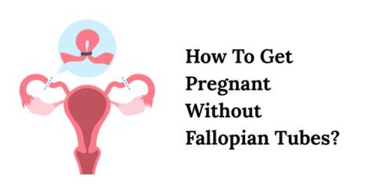 Can you get pregnant without a left fallopian tube?