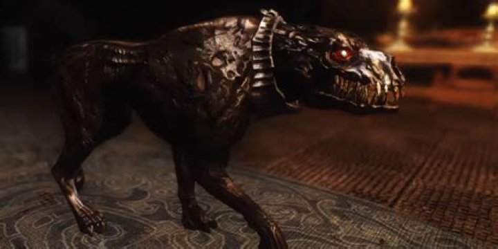 Can you have a death hound as a pet Skyrim?