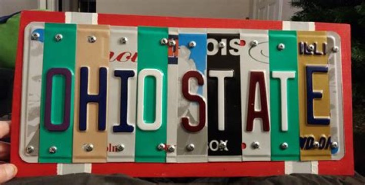 Can you look up Ohio license plate numbers?