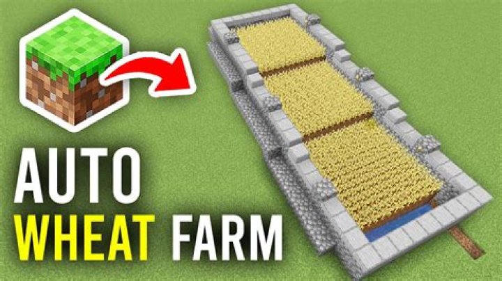 Can you make an automatic wheat farm in Minecraft?