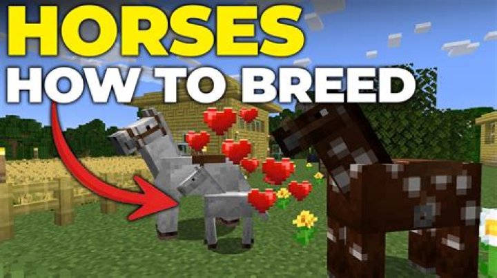 Can you make baby horses in Minecraft?