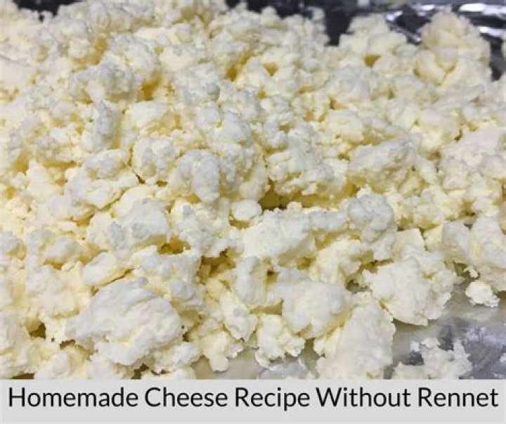 Can you make cheese without animal rennet?