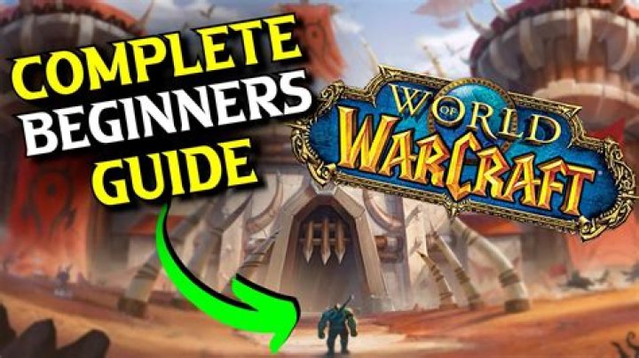 Can you play Warcraft online?