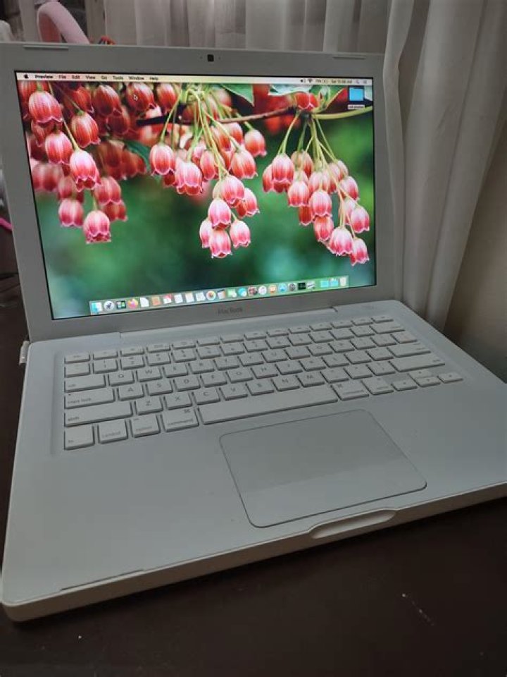 Can you put an SSD in a 2009 MacBook?