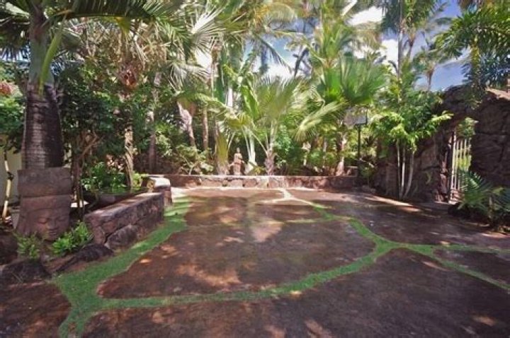 Can you rent huts in Hawaii?
