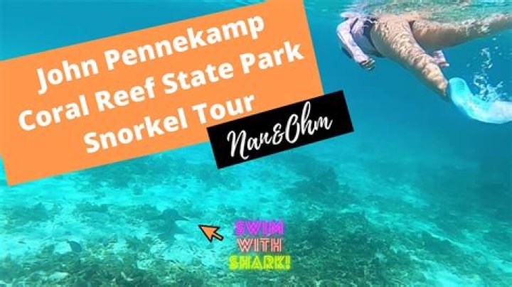 Can you snorkel off the beach at John Pennekamp?