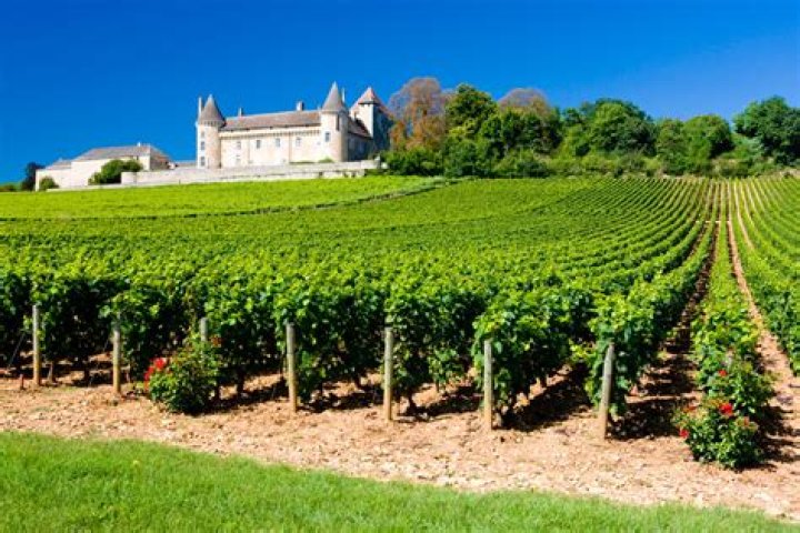 Can you stay on a vineyard in France?
