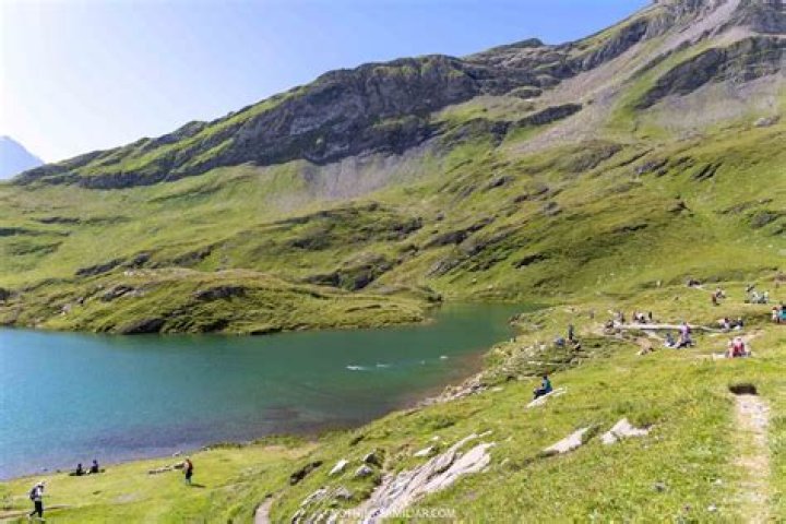 Can you swim in bachalpsee Lake?