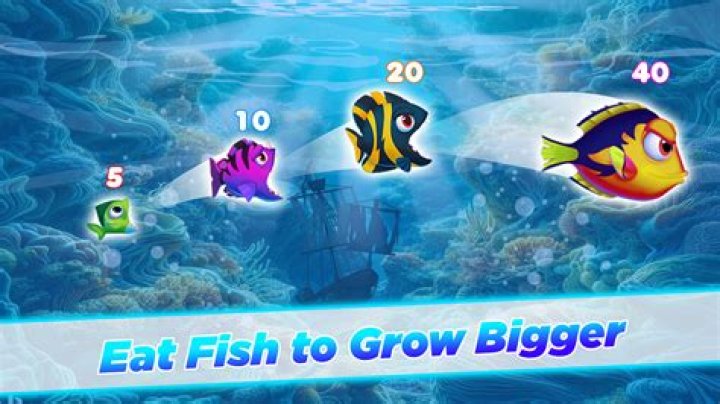 Can you use big fish credits on iPad?