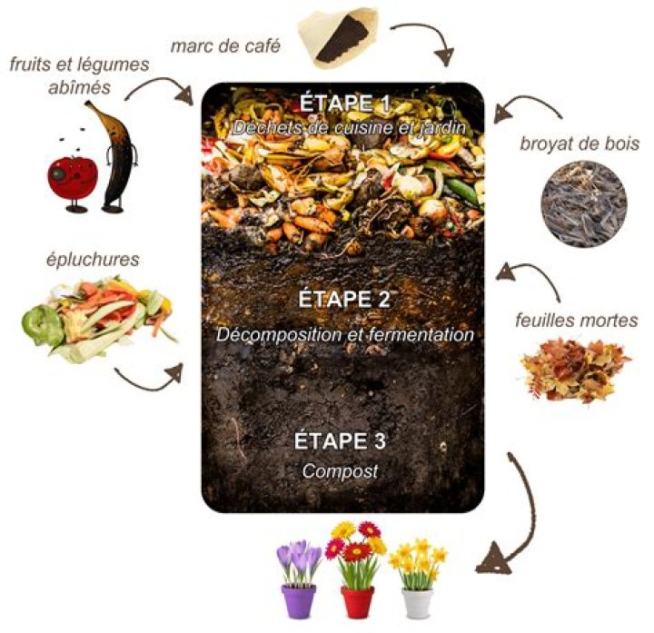 Combien de temps peut-on composter vos agrumes?